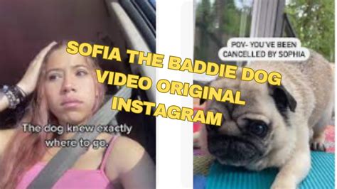 johnvidzz leak|️original Leaked Video of Sofia the baddie dog video